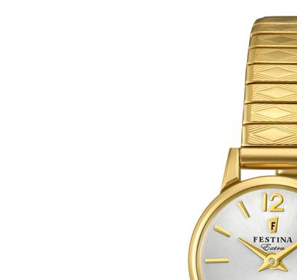 Festina Extra F202631 4