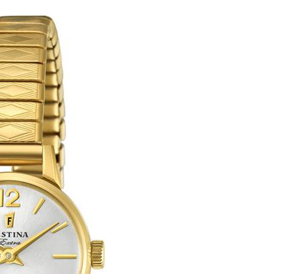 Festina Extra F202631 5