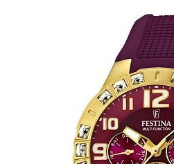 Festina Golden Dream 165812 4
