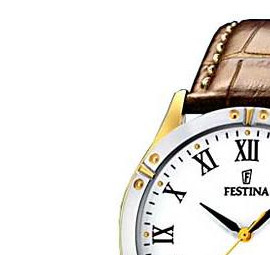 Festina Klasik 163723 4