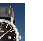 Festina Klasik 165165 5