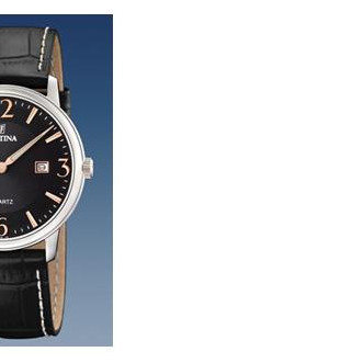 Festina Klasik 165165 6
