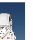 Festina Klasik 165172 5