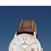 Festina Klasik 165173 3