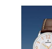 Festina Klasik 165173 4