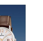 Festina Klasik 165173 5