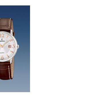 Festina Klasik 165173 6