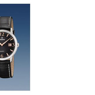 Festina Klasik 165175 6