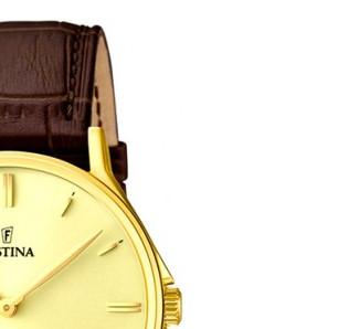 Festina Klasik 167472 5