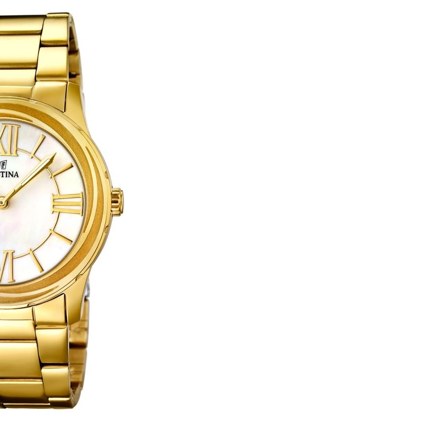 Festina Klasik F167241 6