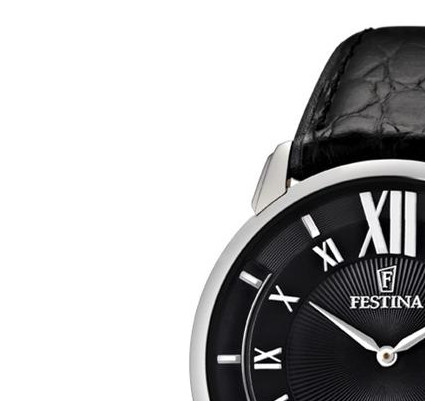 Festina Klassik F68132 4