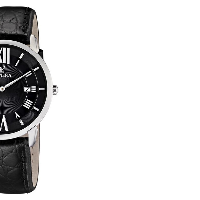 Festina Klassik F68132 6