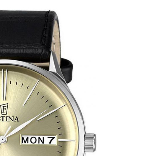 Festina MINIMALIST F68372 5