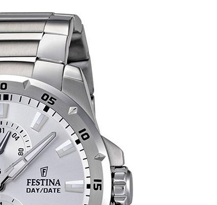 Festina MULTIFUNCTION F166621 5