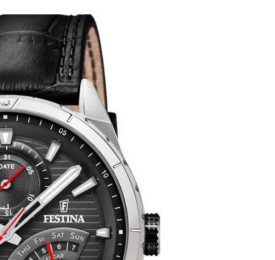 Festina MULTIFUNCTION F169863 5
