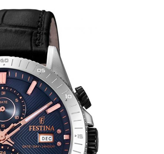 Festina MULTIFUNCTION F169902 5