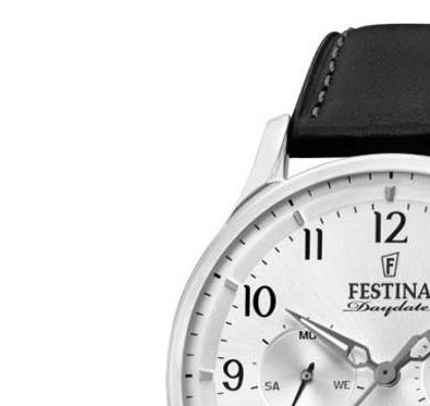 Festina MULTIFUNCTION F169911 4