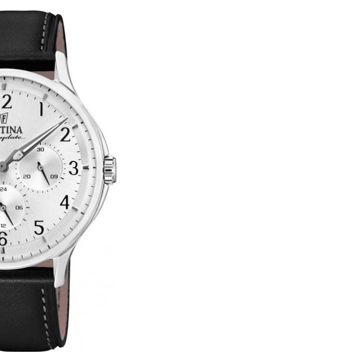 Festina MULTIFUNCTION F169911 6