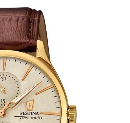 Festina MULTIFUNCTION F169931 5