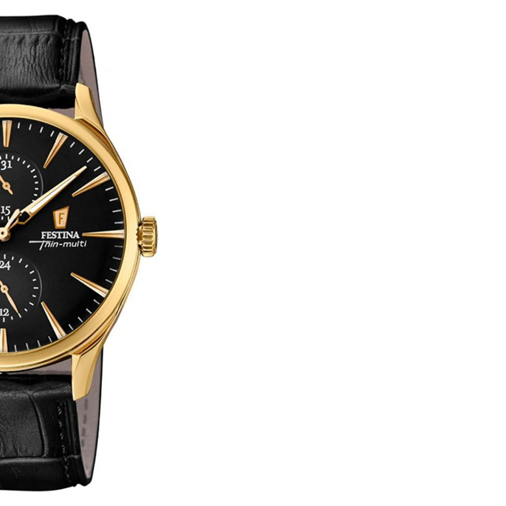 Festina MULTIFUNCTION F169932 6