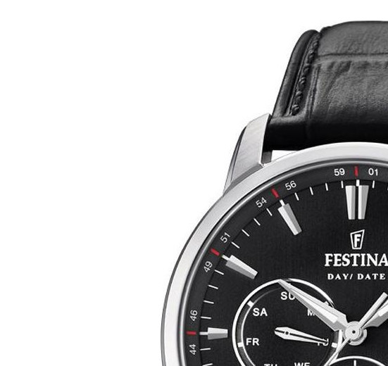 Festina MULTIFUNCTION F202804 4