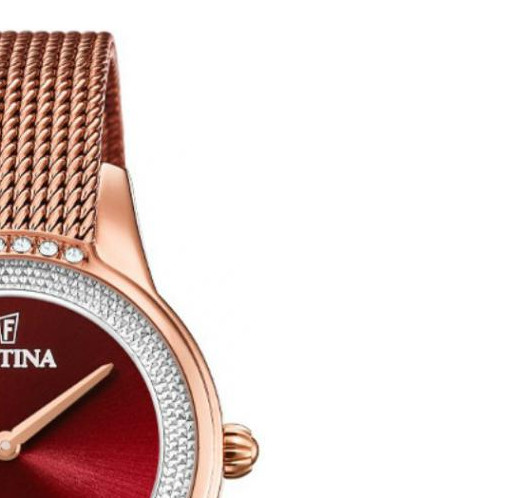 Festina Mademoiselle F20496/1 - zegarek damski 5