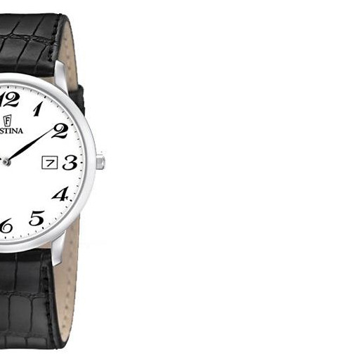 Festina Męskie 68065 6