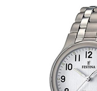 Festina Męskie F164601 4