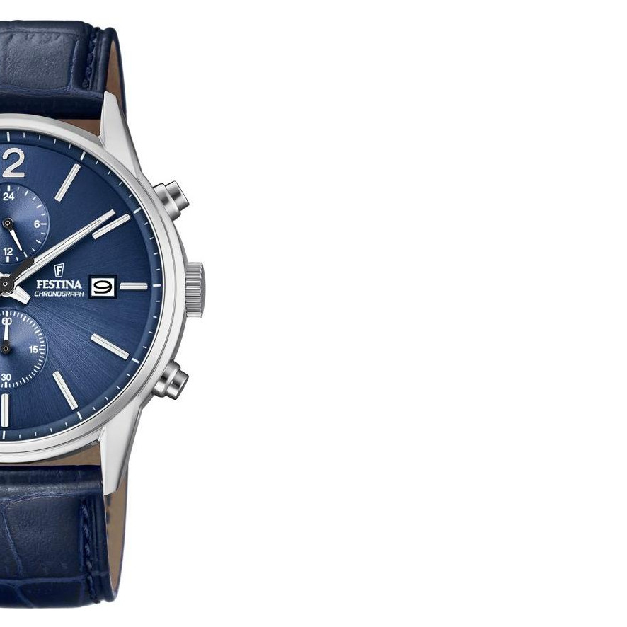 Festina Męskie F202843 6