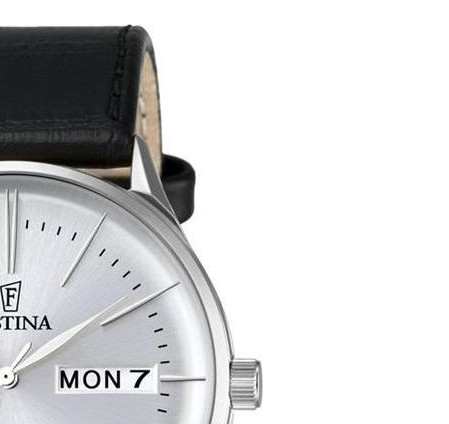 Festina Minimalist F68371 5