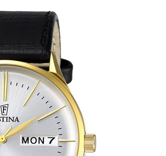 Festina Minimalist F68381 5