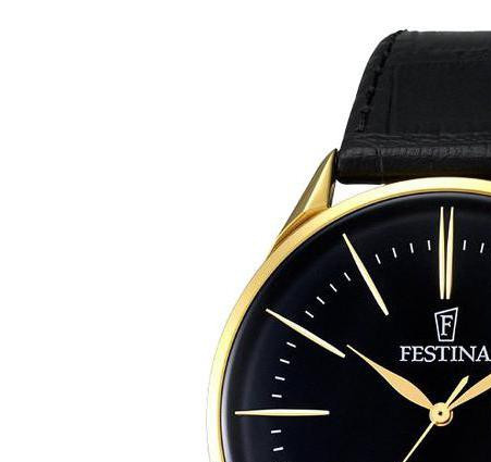 Festina Minimalist F68383 4