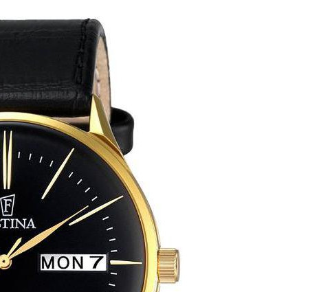 Festina Minimalist F68383 5