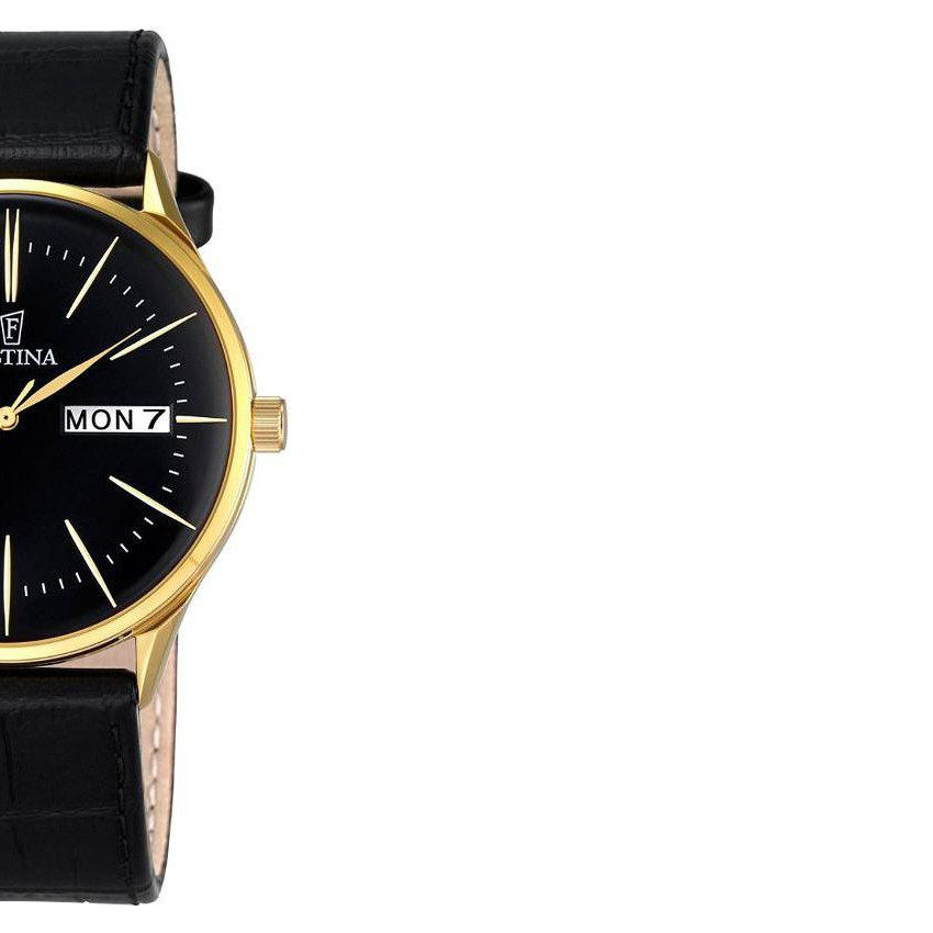 Festina Minimalist F68383 6