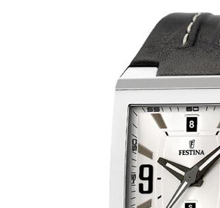 Festina Nine Collection 161851 4