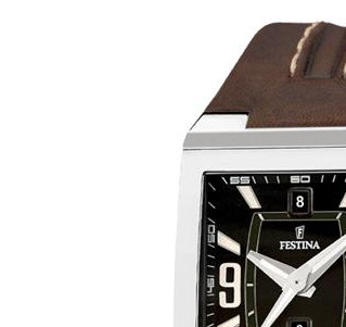 Festina Nine Collection 161855 4