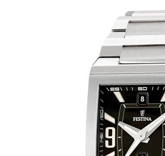 Festina Nine Collection 161884 4