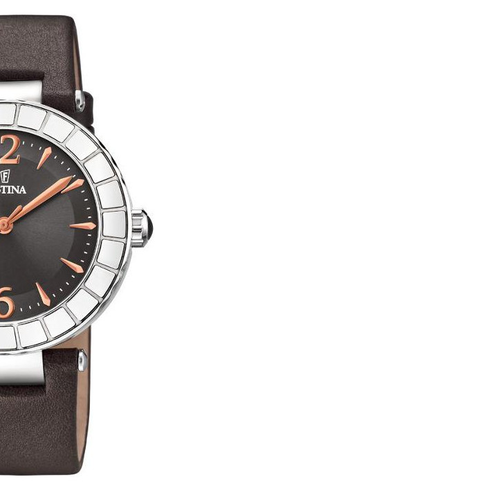 Festina Only for ladies F202343 6