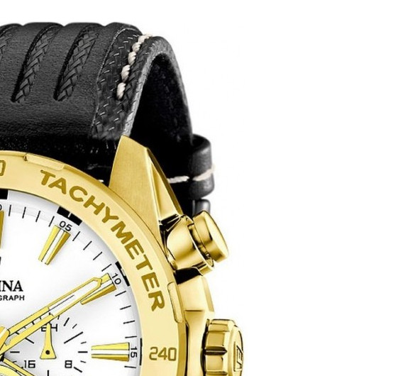 Festina PRESTIGE Chronograph F168791 5