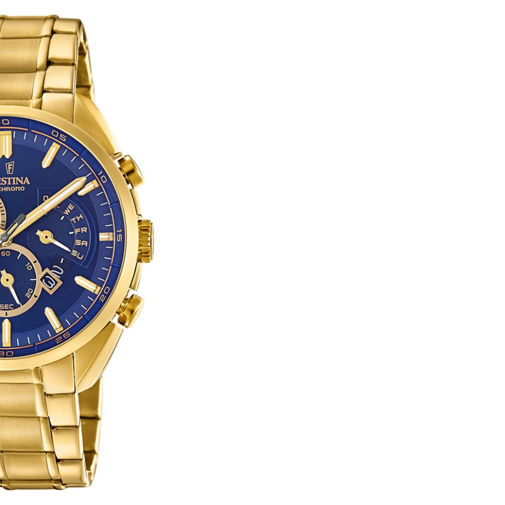 Festina PRESTIGE F202672 6