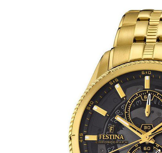 Festina PRESTIGE F202693 4