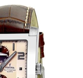 Festina Panama 16235B 5