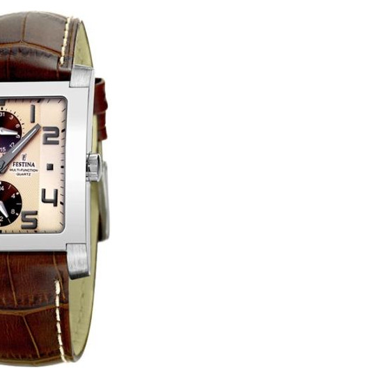 Festina Panama 16235B 6