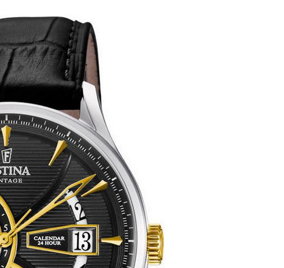 Festina RETRO F169854 5