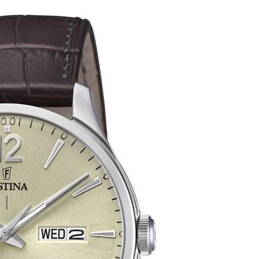 Festina RETRO F202051 5