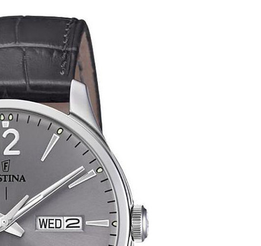 Festina RETRO F202052 5