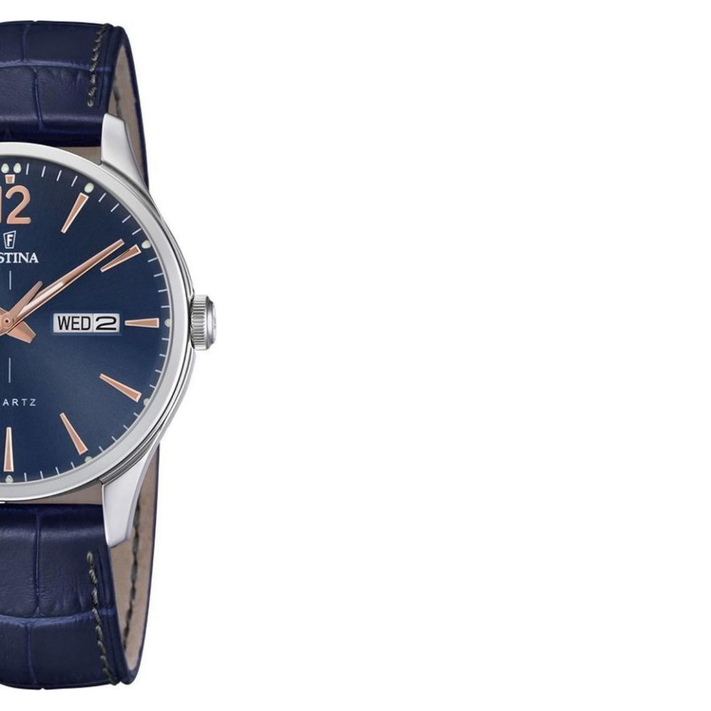 Festina RETRO F202053 6