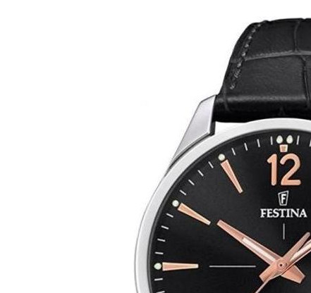 Festina RETRO F202054 4