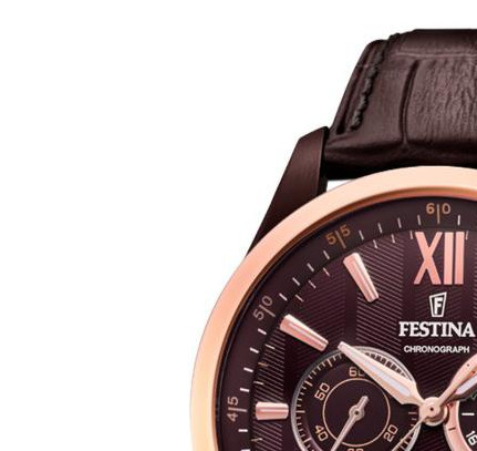 Festina Sport Chronograph F169991 4