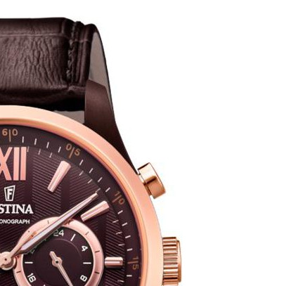 Festina Sport Chronograph F169991 5